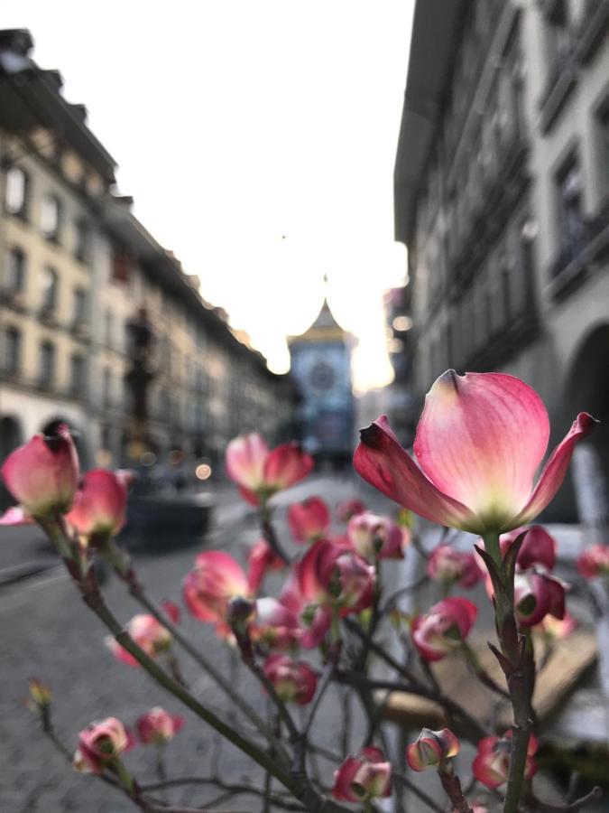 Historical, Bright & Beautiful In Old City - 3Rd Floor Bern Exterior foto